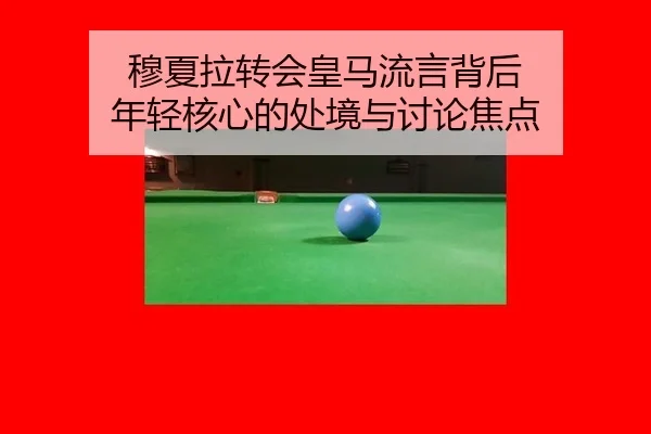 mu-xia-la-zhuan-hui-huang-ma-liu-yan-bei-hou-nian-qing-he-xin-de-chu-jing-yu-tao-lun-jiao-dian-2-376.jpg